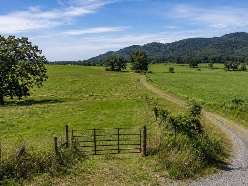 Farm property survey ringgold | Ringgold Land Surveying Adjoining agricultural fields and farm access road for a property survey in Ringgold, Georgia